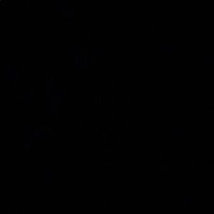 Meet your Posher, Genevieve